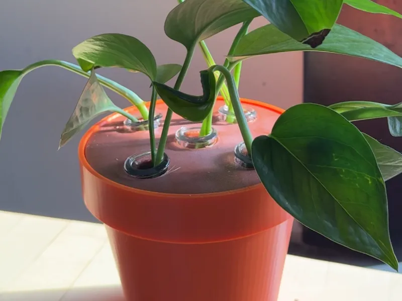 Propagation Station - Plant Pot - No AMS Required