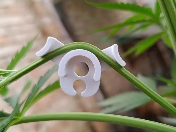 https://makerworld.bblmw.com/makerworld/model/US7f76a71682da15/design/2025-06-23_3588d05b4243d.jpg