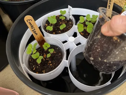Self-Watering grow pot adapter