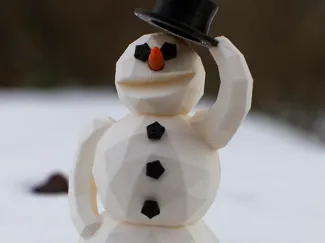 Cute little snowman!