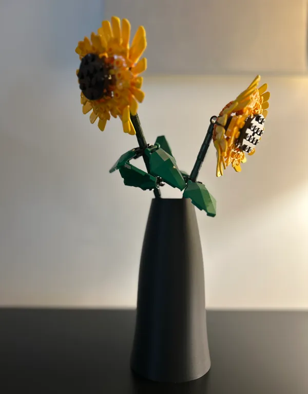 https://makerworld.bblmw.com/makerworld/model/US7f896a6eeb23e2/design/2025-01-11_8077ed43b176f8.jpg