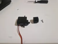 Steering gear with screw