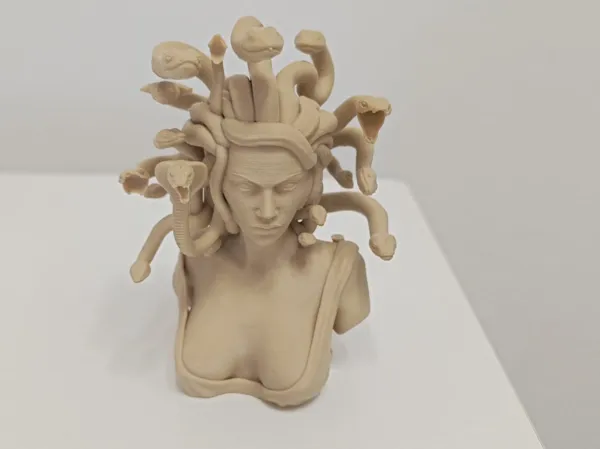 https://makerworld.bblmw.com/makerworld/model/US7f8b9c27993807/design/2025-06-27_57655b7a89fbb8.jpg