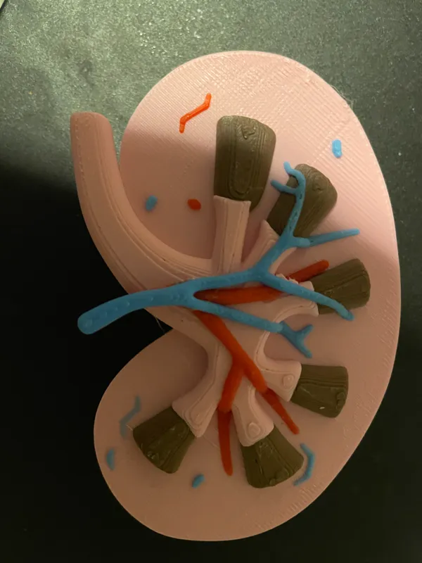 https://makerworld.bblmw.com/makerworld/model/US7f8f9e5b0daa1e/design/2023-12-24_833ca87795ad2.jpg