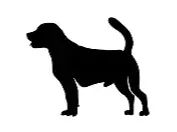 flexi dog figet