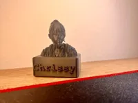 0.08mm layer, 2 walls, 10% infill