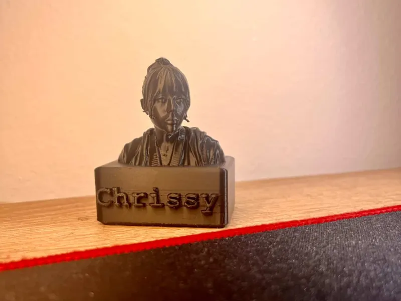 chrissy bust Stranger things