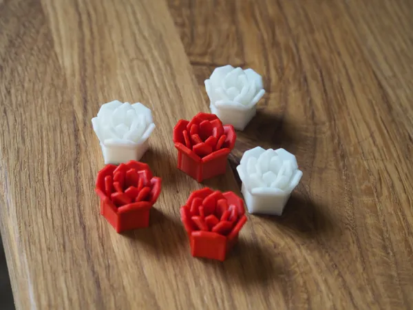 https://makerworld.bblmw.com/makerworld/model/US7f9b3bc3aebe32/design/2025-01-11_7f1d8dae103fe.jpg