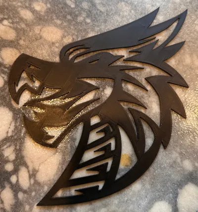 Dragon Shadow