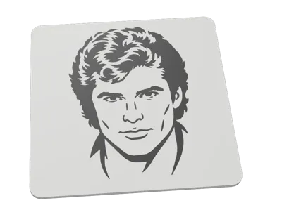 Men's toilet sign David Hasselhoff