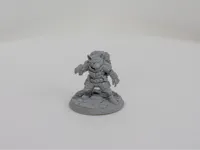 0.2mm nozzle, 0.06mm layer, 4 walls, 15% infill