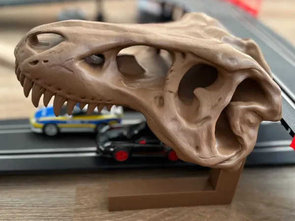 https://makerworld.bblmw.com/makerworld/model/US7fa5536f8fab37/design/2025-01-13_8500fe331b16.jpg