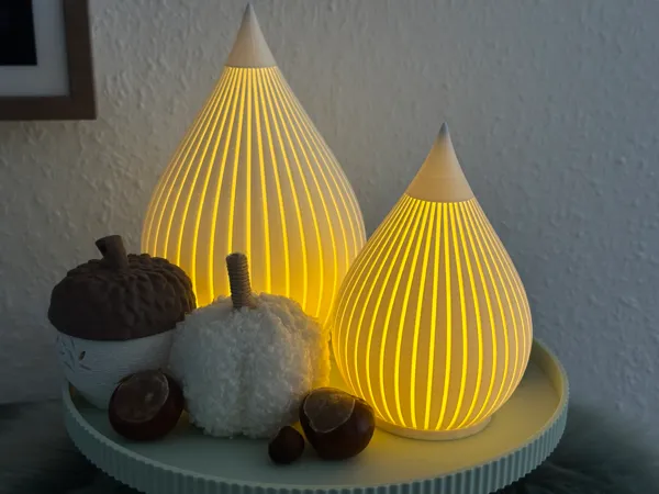 https://makerworld.bblmw.com/makerworld/model/US7fa759e5a97907/design/2025-09-14_770f7abc001f5.jpeg