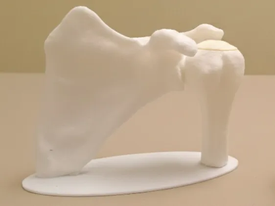 https://makerworld.bblmw.com/makerworld/model/US7faa0a7ae6be5/design/b15f9ca47924f572.jpg