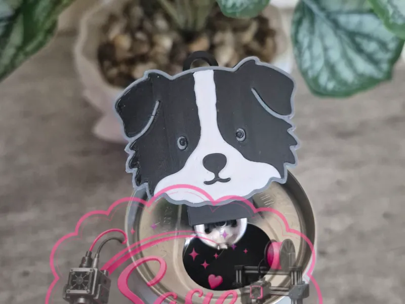 Border Collie Dog Can Tab Opener