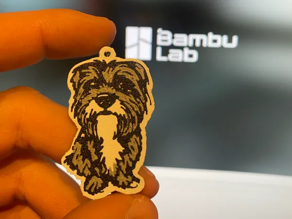 https://makerworld.bblmw.com/makerworld/model/US7fb0292511237a/design/86cb1c1c204fd80e.jpeg