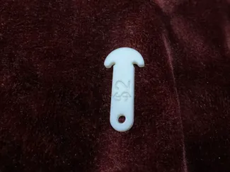 Australian $2 Trolley Coin Token