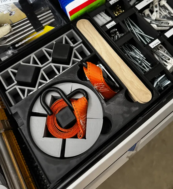 https://makerworld.bblmw.com/makerworld/model/US7fbf7121f630b1/design/2024-12-19_6c3cd4192db29.jpg