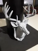 Trophée mural tête de cerf — photo 2