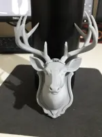 Trophée mural tête de cerf — photo 6