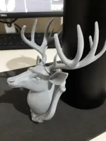 Trophée mural tête de cerf — photo 4