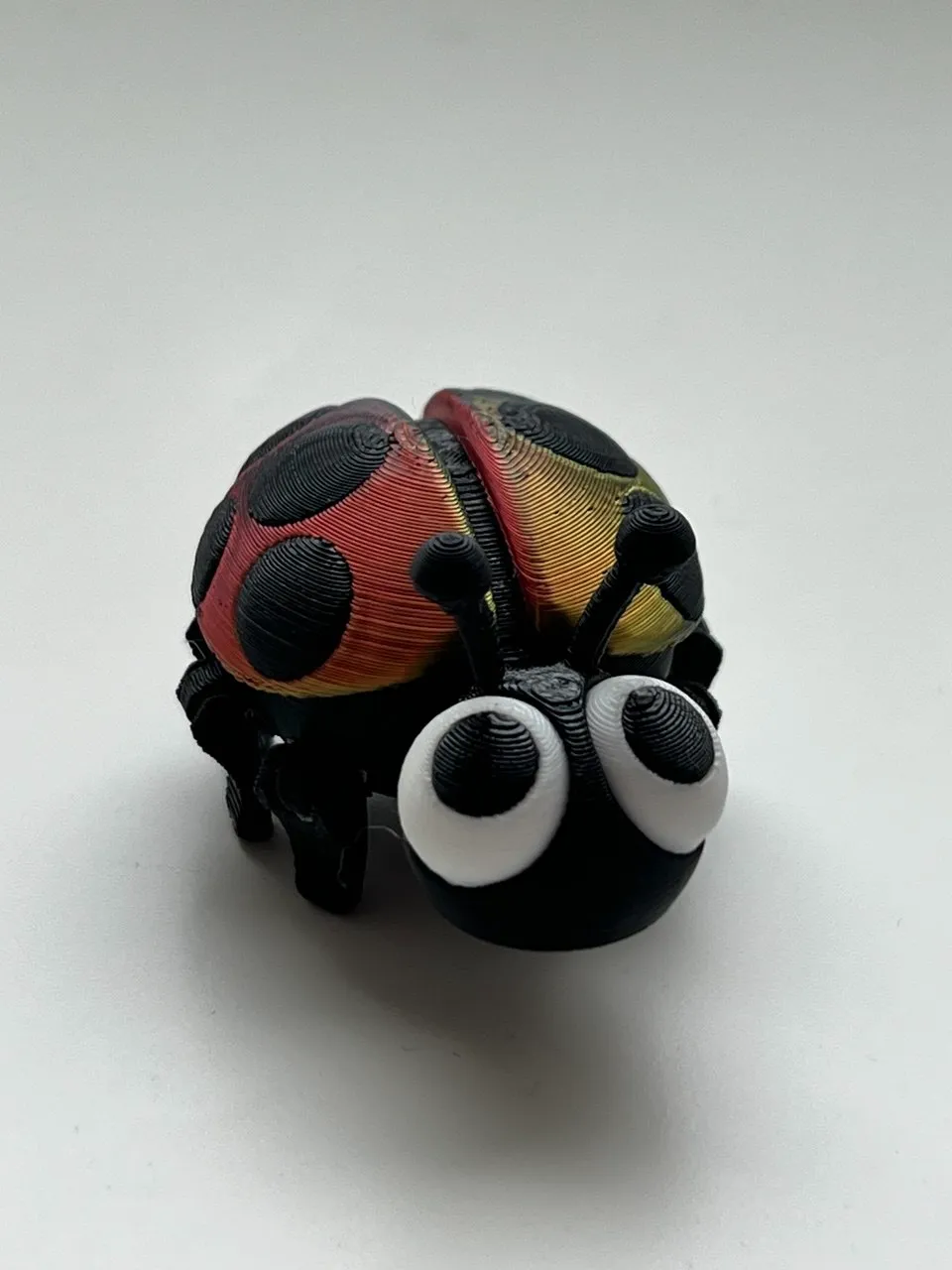 Cute LadyBug view 4