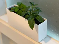 PETG 0.28mm layer, 2 walls, 100% infill