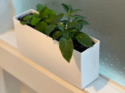 Windowsill Planter - happy accident edition