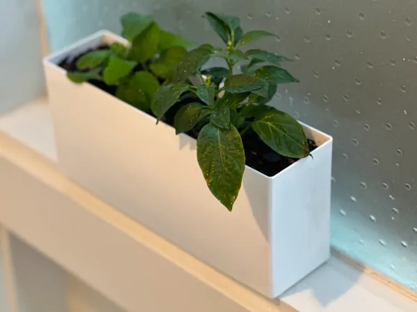 https://makerworld.bblmw.com/makerworld/model/US7fcb4497ff200/design/95ebd1f25e14fd8a.jpg