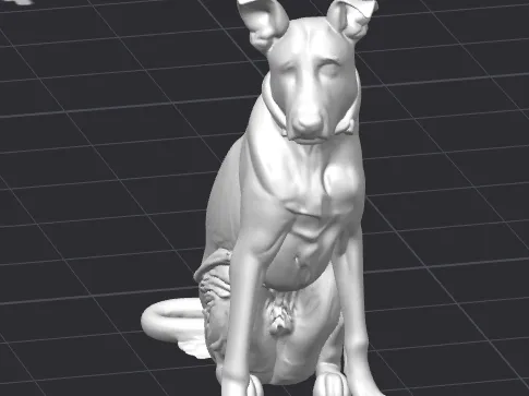 Cute Puppy
