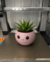 0.2mm layer, 3 walls, 5% infill