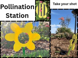 Pollination Station