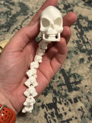 Articulated Halloween Skull and Spine Movable Jaw - Free 3D Print Model ...