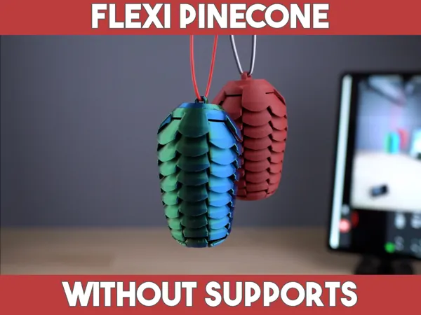 https://makerworld.bblmw.com/makerworld/model/US7fdd30373528e/design/2024-11-03_85ac9787d01af.jpg