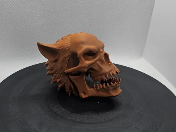 https://makerworld.bblmw.com/makerworld/model/US7fdd889857871f/design/2025-01-21_187fd4cff4f3b.jpg
