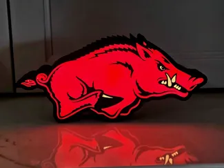 Arkansas Razorbacks Lightbox