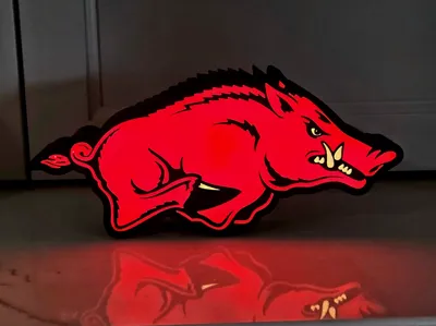 Arkansas Razorbacks Lightbox