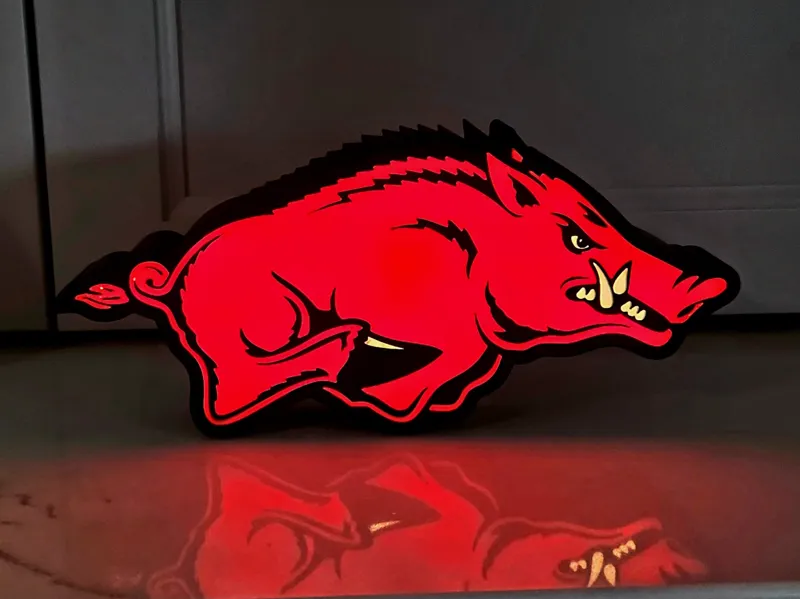 Arkansas Razorbacks Lightbox