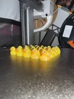 20x Duckies 2h15m