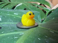 Duckie 1h14m