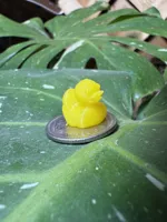 Single Color Duckie 15m38s (Quick!)