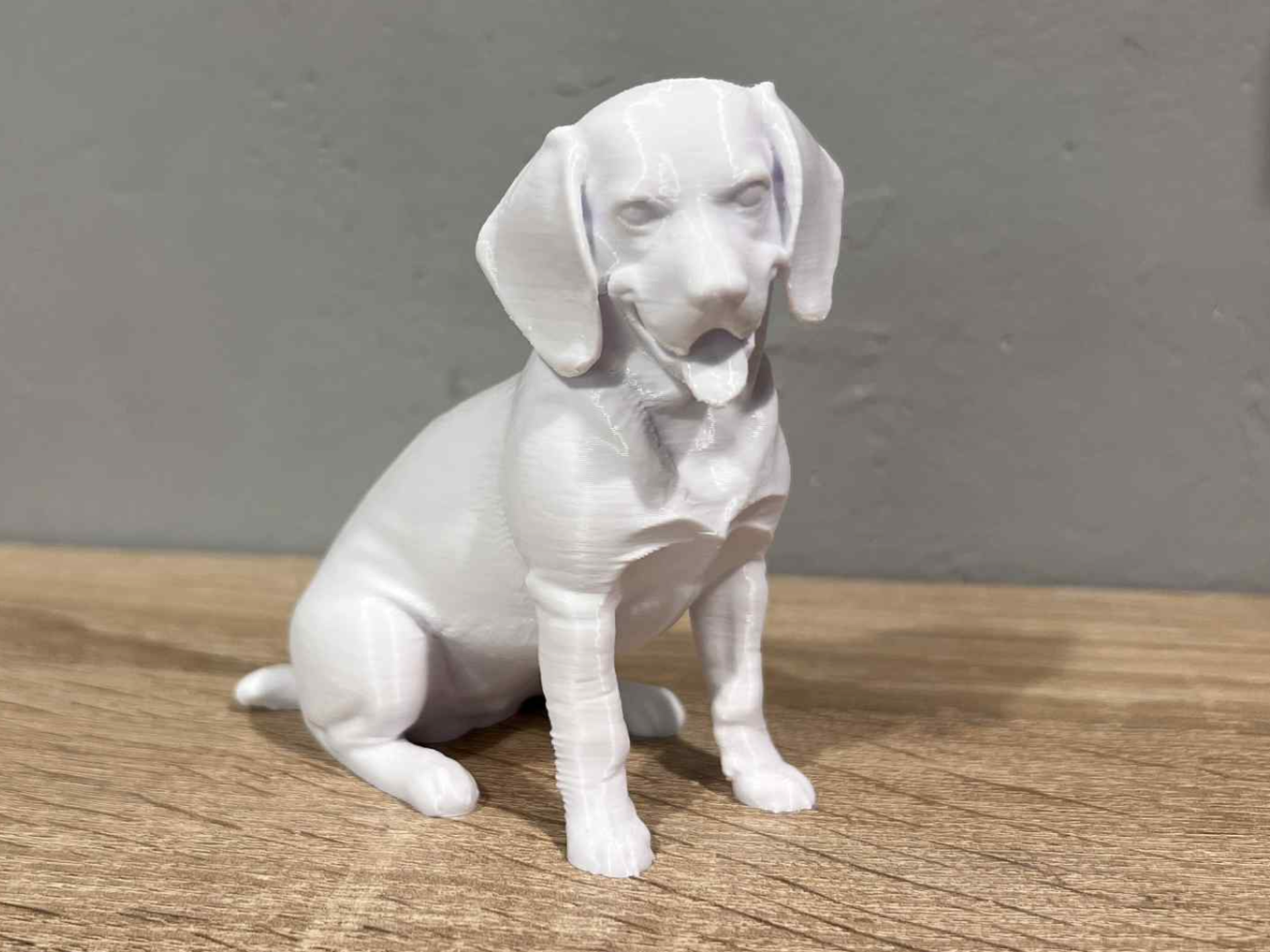 Sitting Beagle - Dog - Animal