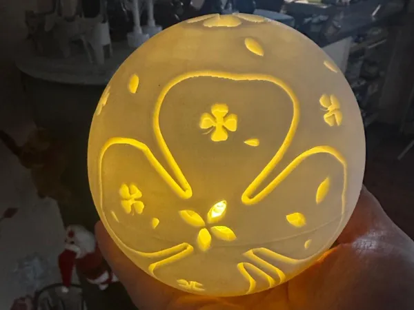 https://makerworld.bblmw.com/makerworld/model/US7fe8a4efffd28/design/2024-12-29_f725b5399a9f.jpg