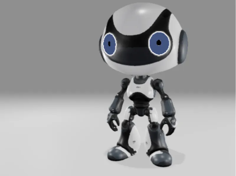 Robot