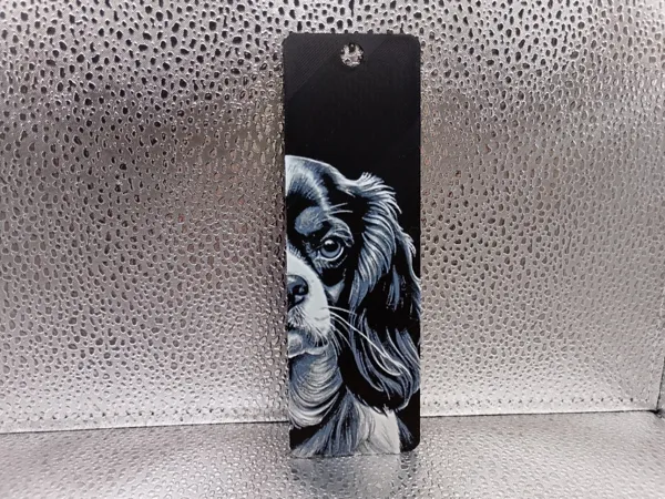 https://makerworld.bblmw.com/makerworld/model/US7fea11c077a2be/design/2025-12-18_edde9cd6b0c3a8.jpg