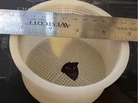 0.2mm layer, 2 walls, 15% infill