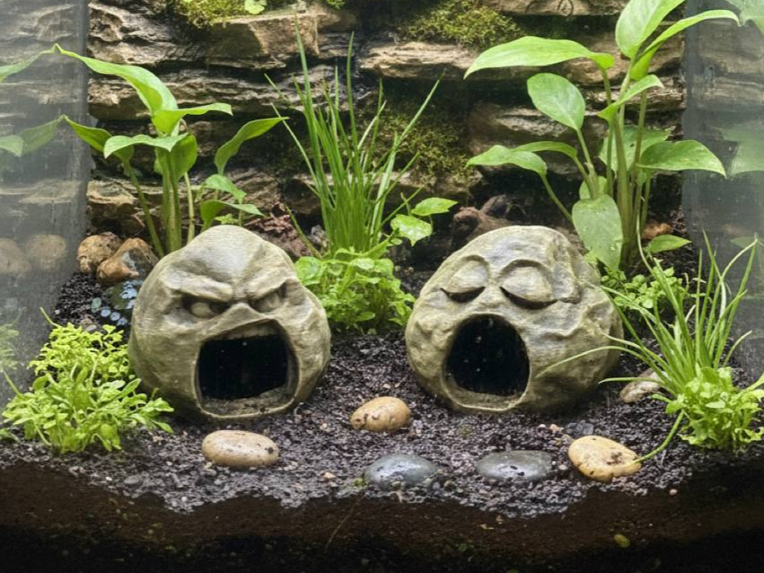 Grumpy Stone Caves