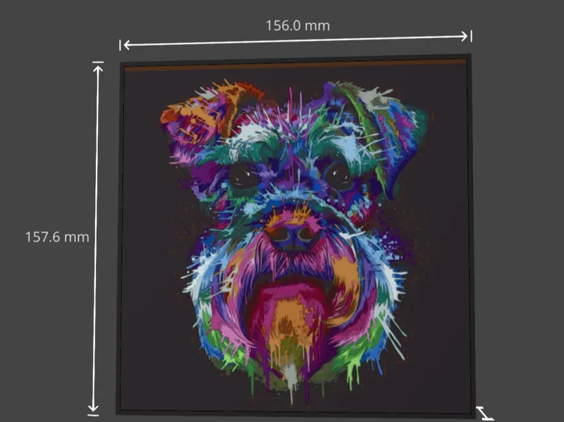 Schnauzer Bunt 