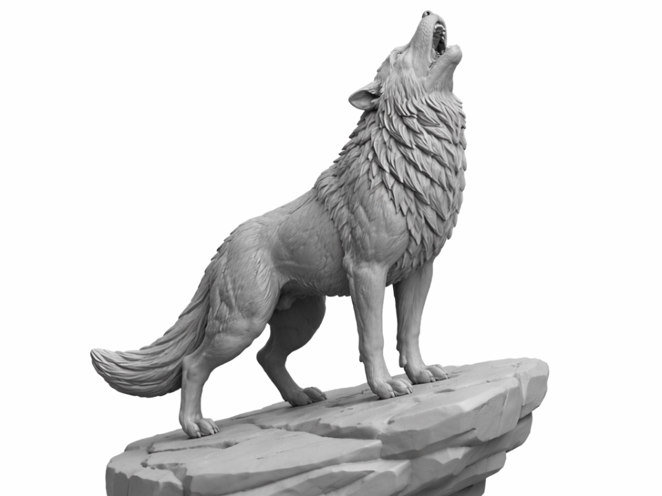 Howling Wolf on Rocky Cliff