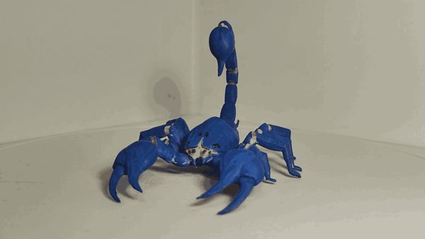 https://makerworld.bblmw.com/makerworld/model/US7ffc49583f8548/design/2025-12-30_ae2e17e96d602.gif